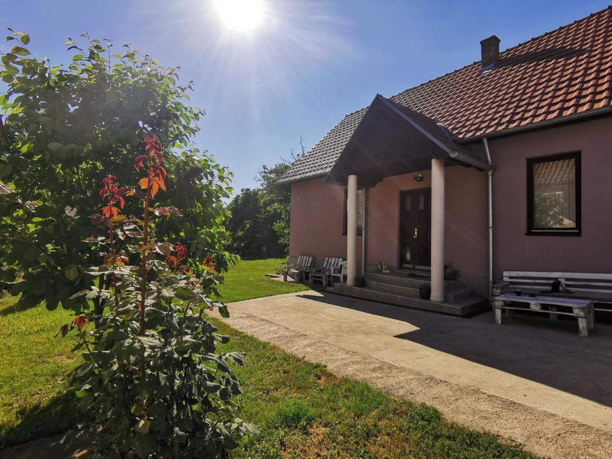 Apartmani La Grande Motte Vrdnik Exterior photo