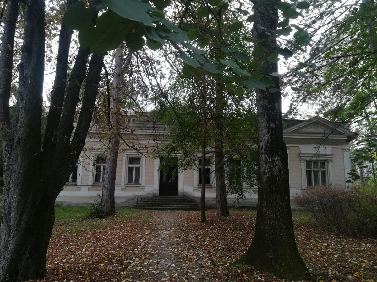Apartmani La Grande Motte Vrdnik Exterior photo