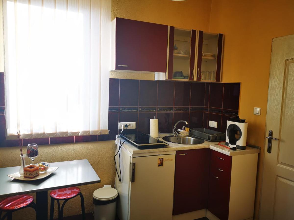 Apartmani La Grande Motte Vrdnik Exterior photo